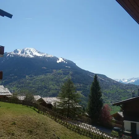 Iris I 031 - Confortable 6 Pers 维松纳